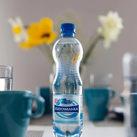 Apartamenty-kudowa Z Pięknym Widokiem I Balkonem *