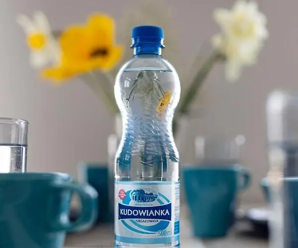 Apartamenty-kudowa Z Pieknym Widokiem I Balkonem *